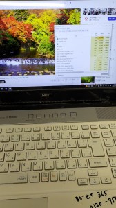 IMG_20230417_14394761