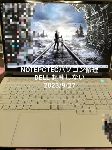WechatIMG33